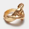 Anello irregolare
